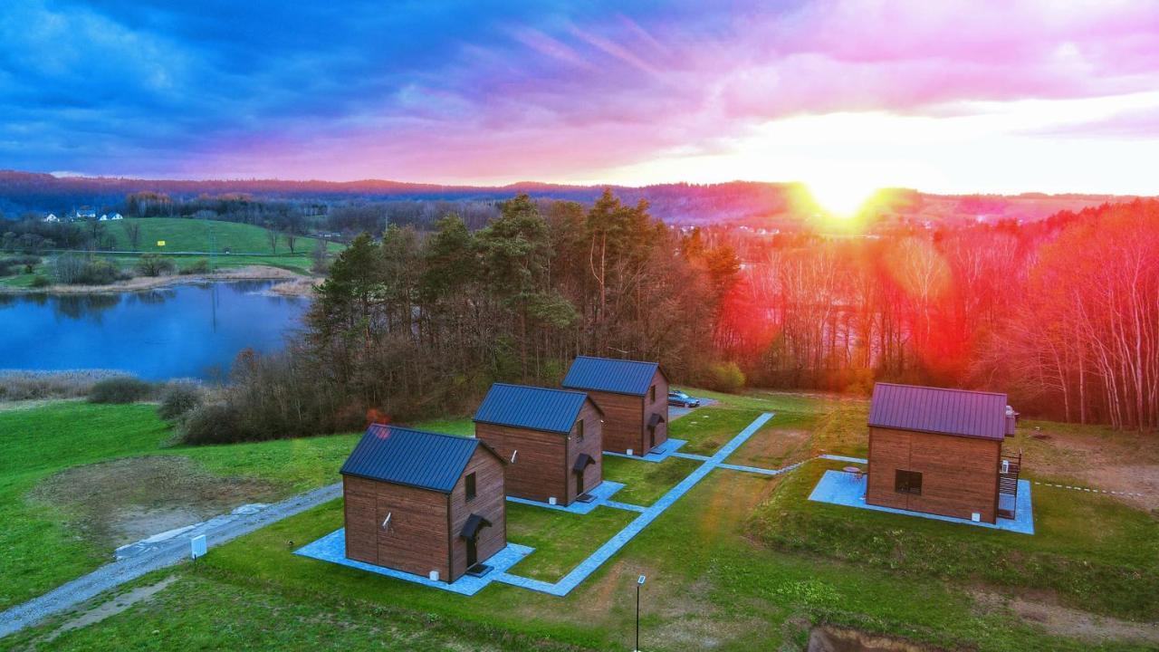 Dzikie Lisko - Apartament Z Klimatyzacja Lesko Bagian luar foto