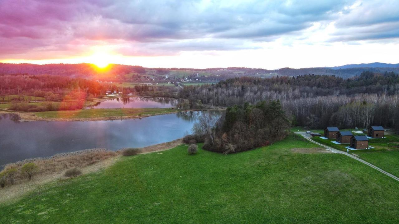 Dzikie Lisko - Apartament Z Klimatyzacja Lesko Bagian luar foto