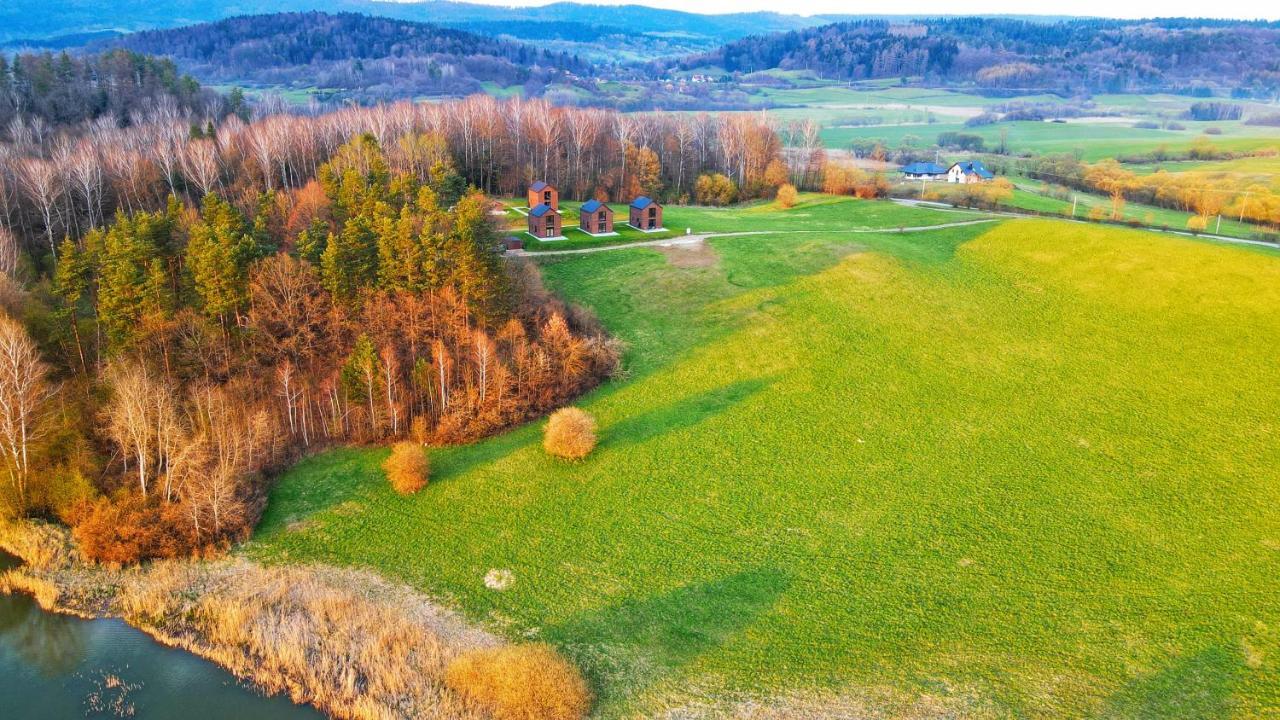 Dzikie Lisko - Apartament Z Klimatyzacja Lesko Bagian luar foto